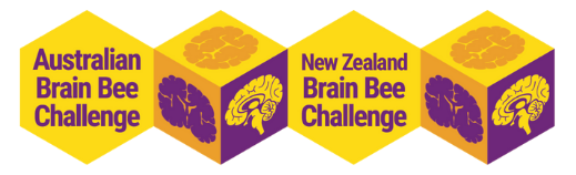 brain bee logo-1